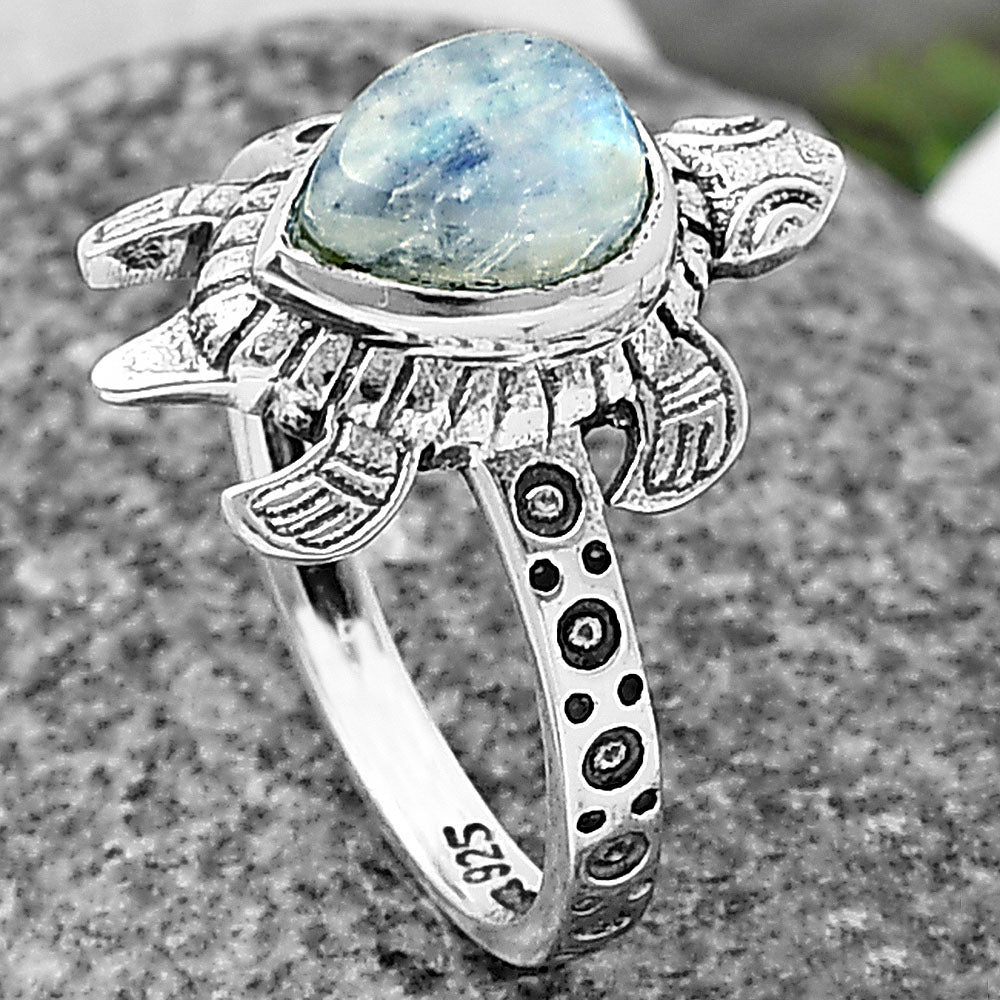 Tortoise - Rainbow Moonstone - India 925 Silver Ring Jewelry DGR1116_D