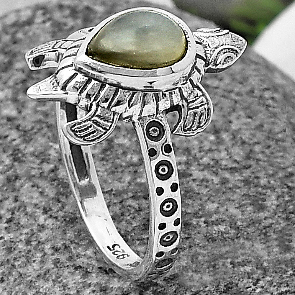 Tortoise - Gray Moonstone 925 Sterling Silver Ring Jewelry DGR1116_G